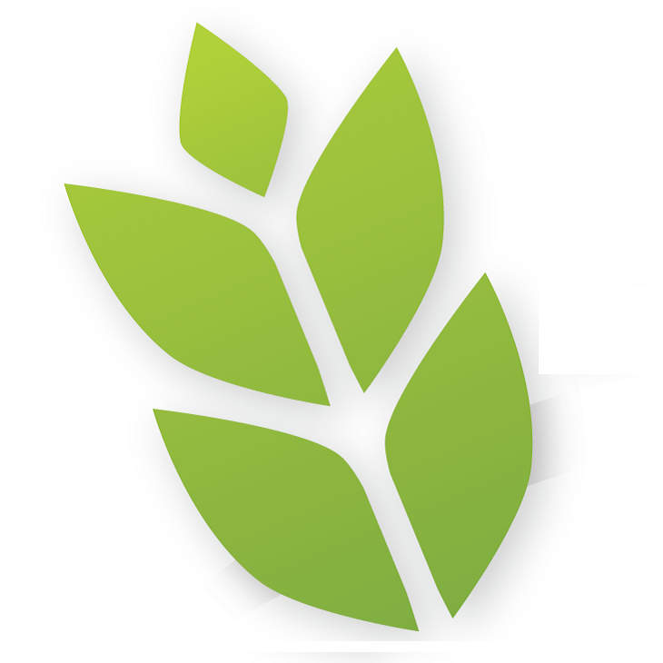 info@jecmen-chlorella.cz
